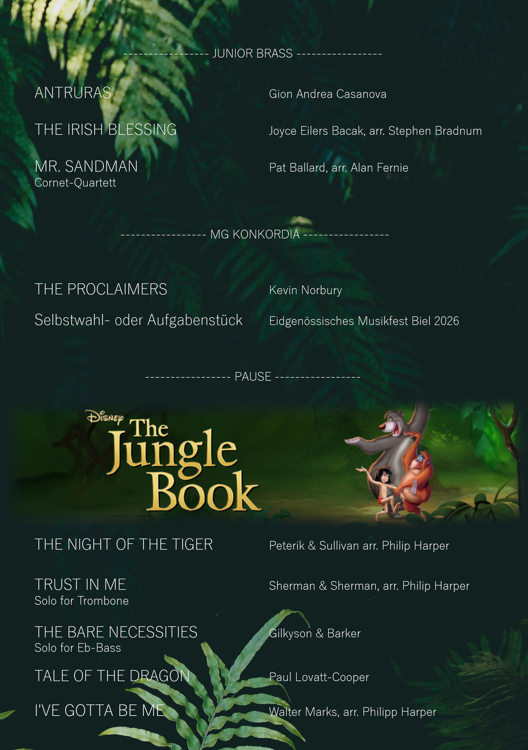 <h5>Konzertprogramm</h5>